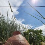 Pot in't duin